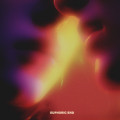 CDPaleskin / Euphoric End