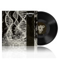 LPCoroner / Dissonance Theory / Vinyl