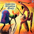 UHQRVarious / Didgeridoo Percussion Mystic / Vinyl