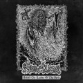 CDMerciless / Behinde The Realms Of The Dark