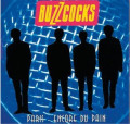 LPBuzzcocks / Encore Du Pain / Clear Splatter / Vinyl