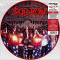 LPSkid Row / Live At Moscow Music Fest. / RSD 2026 / Picture / Vinyl