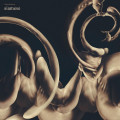 CDSiamese / Dissolution