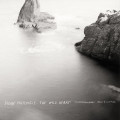 CDMattingly Dylan / Wild Heart