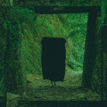 LPPsychonaut & Saver / Emerald / Vinyl