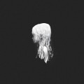 LPClan / Seelie / Vinyl