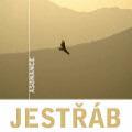 CDAsonance / Jestb