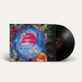 LPLightning Seeds / Sense / Vinyl