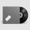 LPJamie XX / In Waves / Vinyl