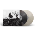2LPDrive By Truckers / American Band / Deluxe / Vinyl / 2LP