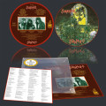 LP / Slaughter / Strappado / Picture / Vinyl