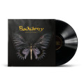 LP / Buckcherry / Black Butterfly / Vinyl