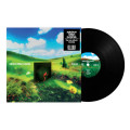 LPRainbow Kitten Surprise / Bones / Vinyl