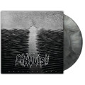 LPConvulse / Reflections / Coloured / Vinyl