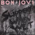 CDBon Jovi / Slippery When Wet