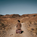 LP / Soler Alvaro / El Camino / Vinyl