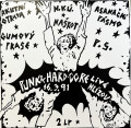 2LPVarious / Punk & Hard-Core Live Hlzov 16.3.91 / Vinyl / 2LP