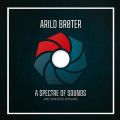 2LPBroter Arild / Spectre Of Sounds / Vinyl / 2LP