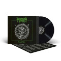 LP / Deserted Fear / Veins Of Fire / Vinyl