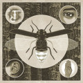 CDCantrell Jerry / Brighten / Digipack