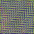 CDAnimal Collective / Merriweather Post Pavilion
