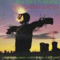CDSonic Youth / Bad Moon Rising