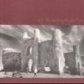 LPU2 / Unforgettable Fire / Vinyl