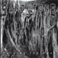 CDSandstone / Purging The Past