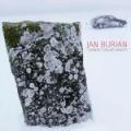 CDBurian Jan / Dvanct druh samoty / Digipack