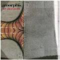 CDAmorphis / Am Universum