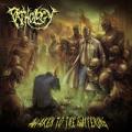 CDPathology / Awaken To The Suffering