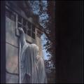 LPDead Can Dance / Within The Realm Of A Dying Sun / Vinyl