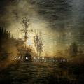 CDValkiria / Here The Day Comes