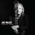 CDWalsh Joe / Analog Man
