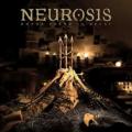 CDNeurosis / Honour Found In Decay