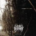 CDWoods Of Desolation / Toward The Depts
