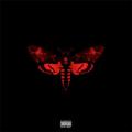 CDLil Wayne / I'Am Not A Human Being II