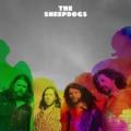 CDSheepdogs / Sheepdogs