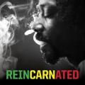 CDSnoop Lion / Reincarnated