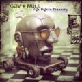 2LPGov't Mule / Life Before Insanity / Vinyl / 2LP
