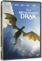 DVDFILM / M�j kamar�d drak