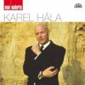 CDHla Karel / Pop galerie