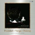 CDHammel Pavol/Varga Marin/Peteraj Kamil / Vetko je inak