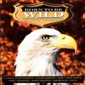 CDVarious / Born To Be Wild / 16 Rock Classics