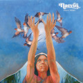 LPNaevus / Back Home / Vinyl