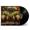 LPNapalm Death / Leaders Not Followers:Part 2 / Vinyl.