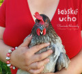 CDbabsk ucho / Slovansk telenovely / Digisleeve
