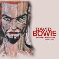 LPBowie David / Brilliant Adventure 1992-2001 / Box / Vinyl / 18LP