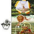 CDMagus / Ruminations Of Debauchery / Digibook