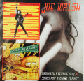 2CDWalsh Joe / Ordinary Average Guy / Songs For A Dying Planet / 2CD